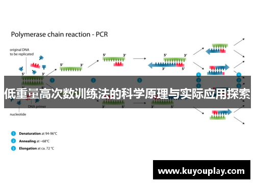 低重量高次数训练法的科学原理与实际应用探索