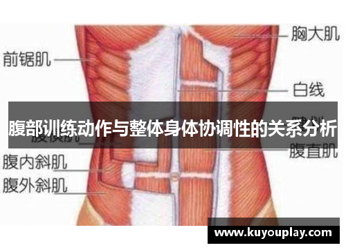 腹部训练动作与整体身体协调性的关系分析